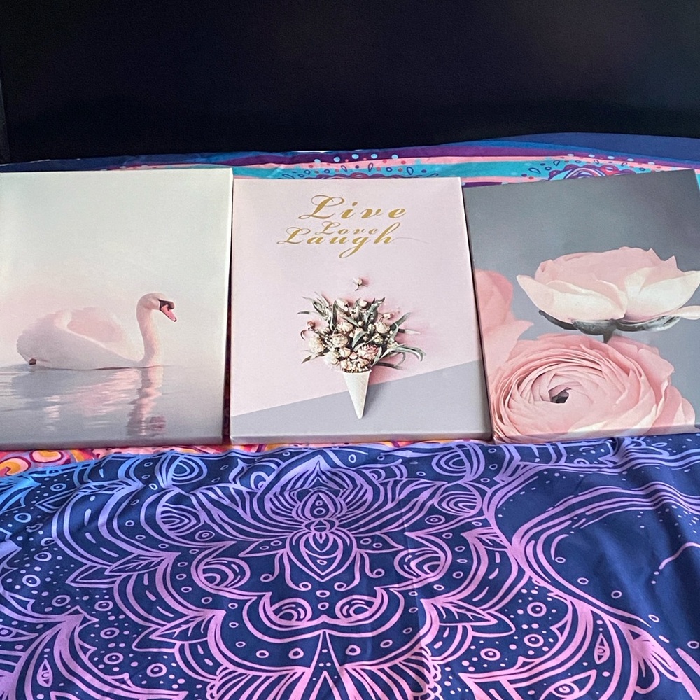 Set of Three Pink and White Canvas Art Prints